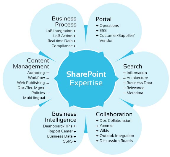 Benchmark IT Solutions is an expert Sharepoint development company in Orlando, Florida, USA. Our sharepoint development team follows the best development, implementation practices.